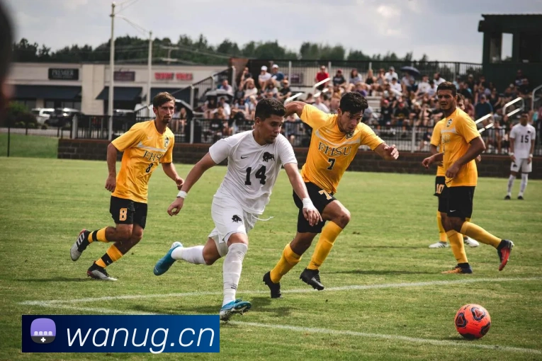 数据防护可视化